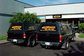 Store Back
